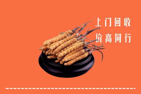 高价求购：观山湖区回收散虫草