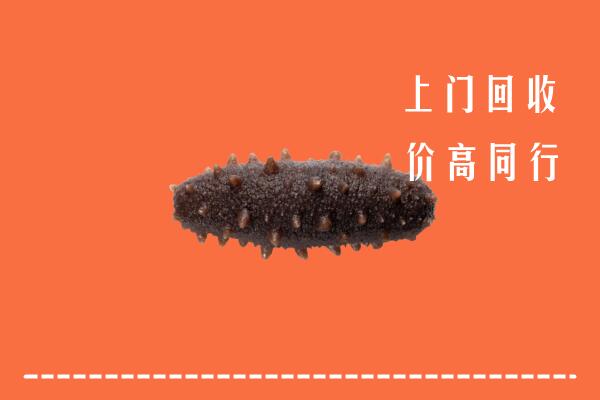 高价求购：观山湖区回收海参