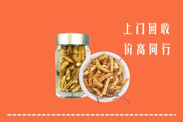 观山湖区回收冬虫夏草