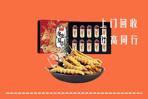 观山湖区回收虫草